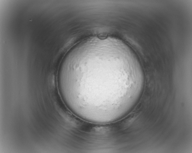 X0000062930067200601271843
