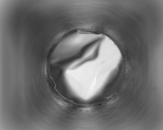 X0000062930068200601271843