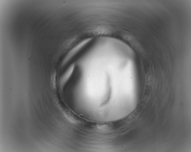 X0000062930070200601271843