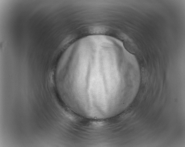 X0000062930071200601271843