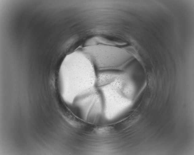 X0000062930072200601271843