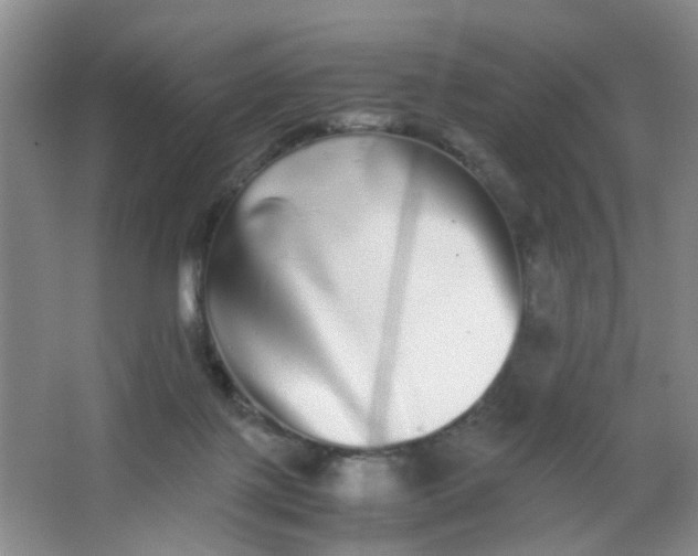 X0000062930075200601271843