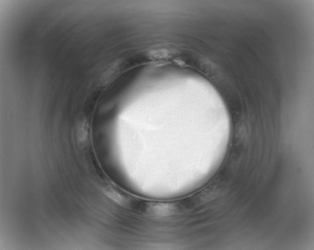 X0000062930081200601271843