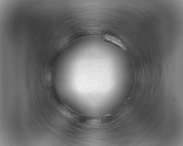 X0000062930084200601271843