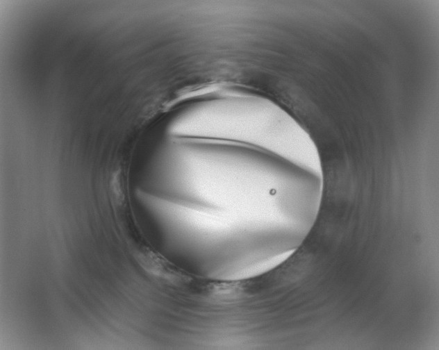 X0000062930088200601271843