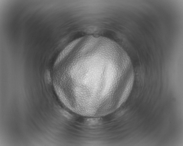 X0000062930089200601271843