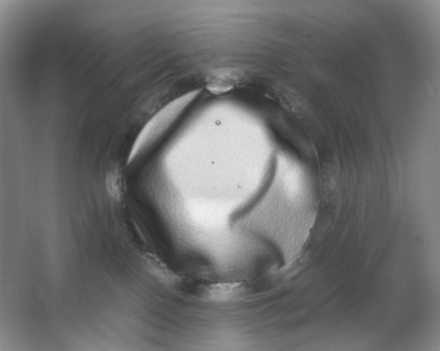X0000062930090200601271843