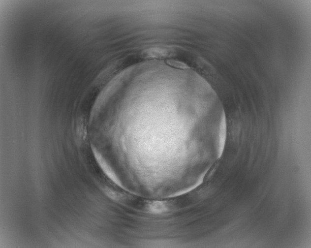 X0000062930091200601271843