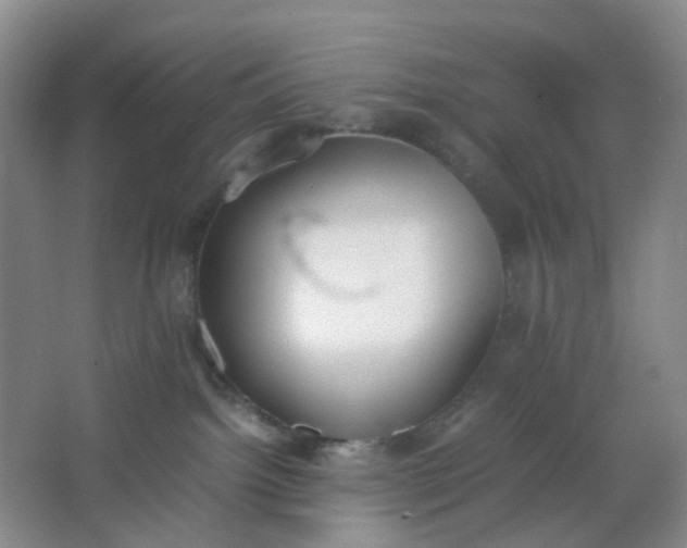 X0000062930092200601271843