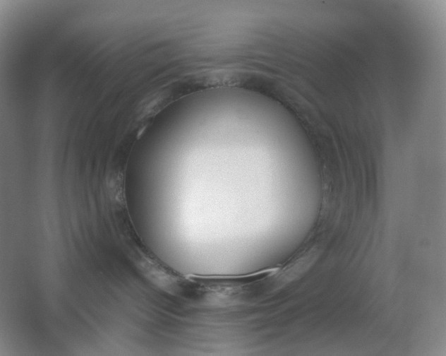 X0000062930096200601271843
