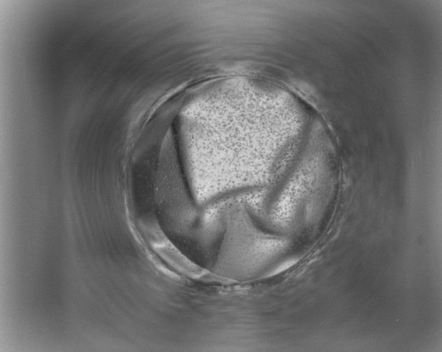 X0000062930097200601271843