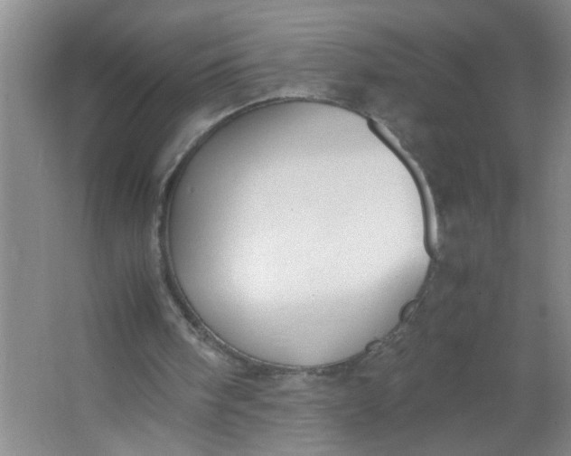 X0000062930098200601271843