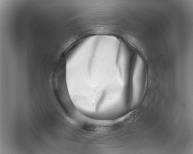 X0000062930105200601271842
