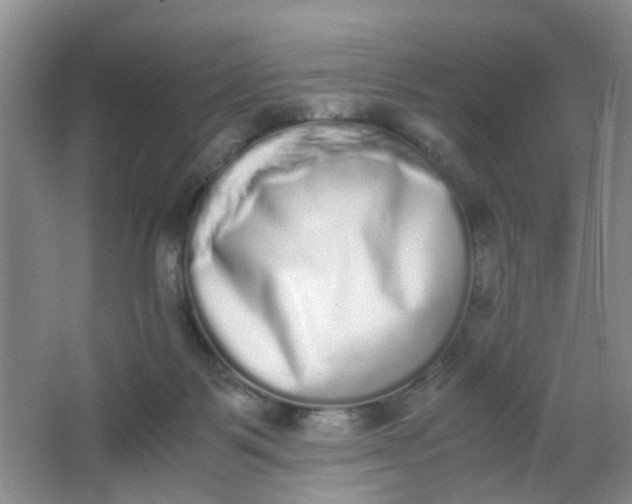 X0000062930123200601271842