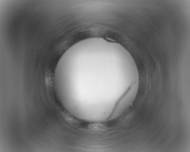 X0000062930137200601271842