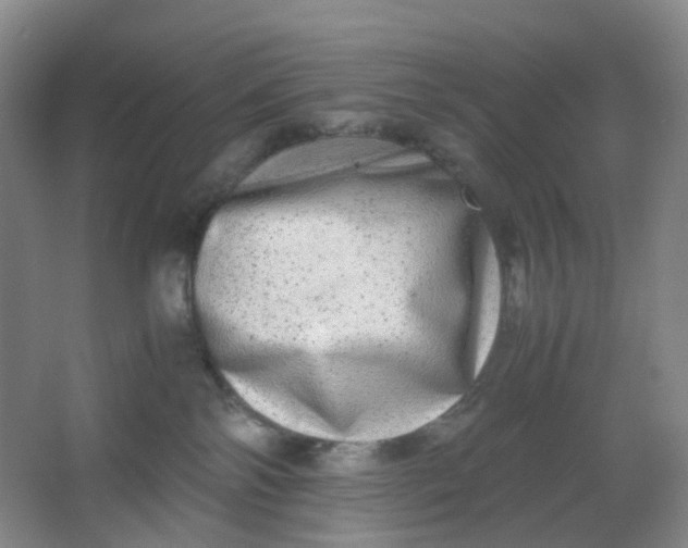 X0000062930138200601271842