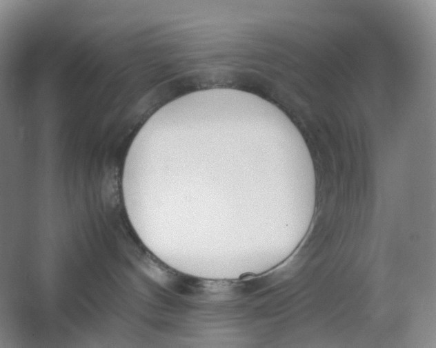 X0000062930144200601271842