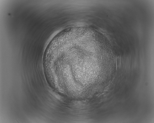 X0000062930147200601271841