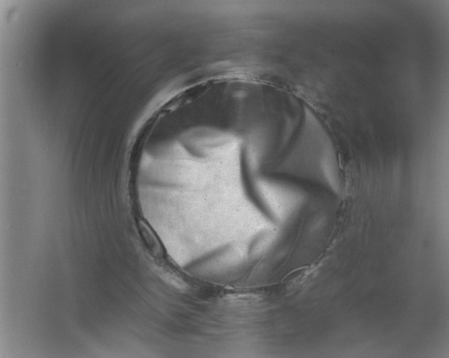 X0000062930150200601271841