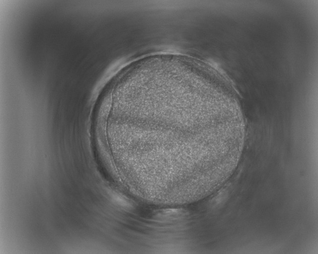 X0000062930151200601271841
