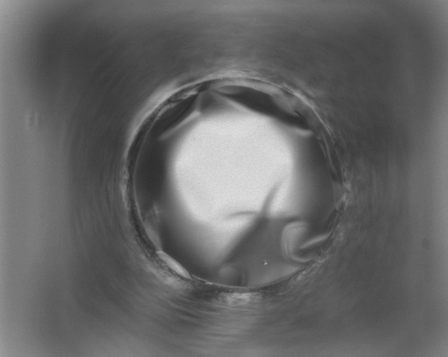 X0000062930152200601271841