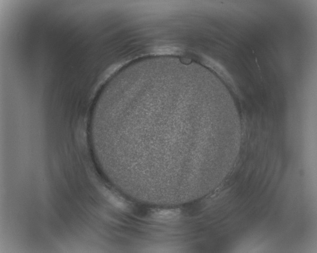 X0000062930155200601271841