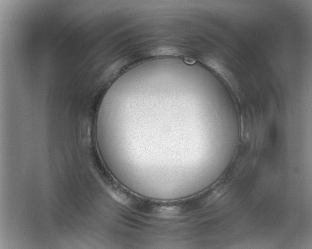 X0000062930157200601271841