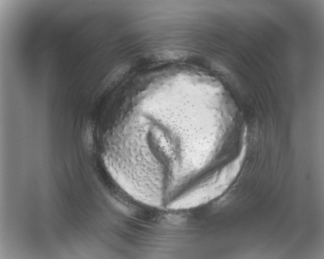 X0000062930166200601271841