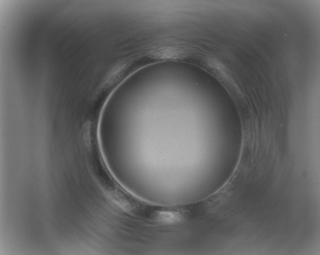 X0000062930167200601271841