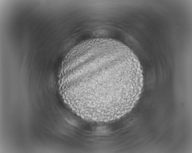 X0000062930173200601271841