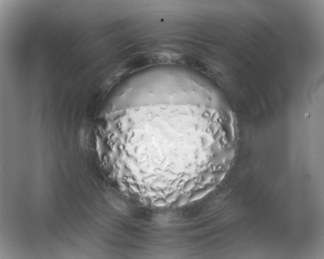 X0000062930177200601271841