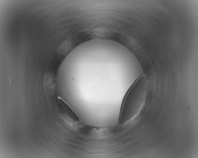 X0000062930186200601271842