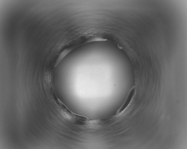 X0000062930192200601271842