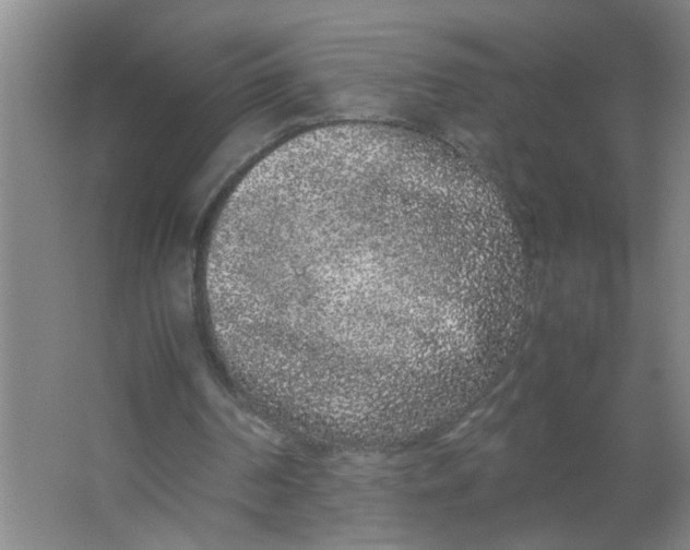 X0000062930194200601271841