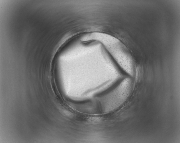 X0000062930195200601271841