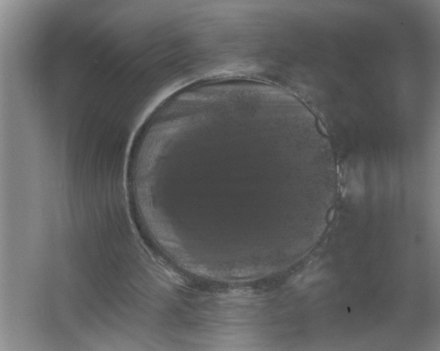 X0000062930196200601271841