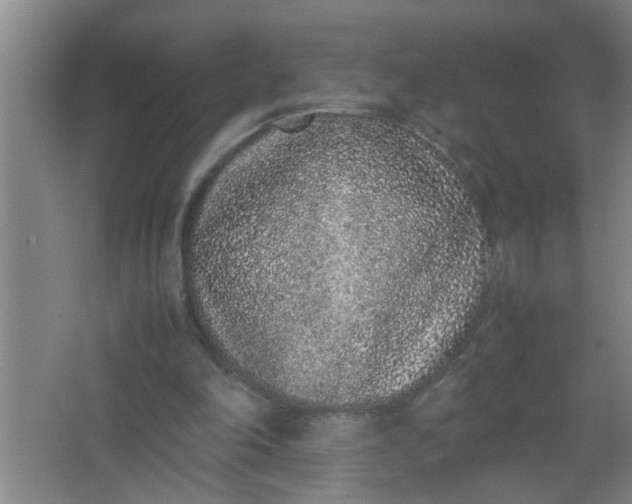 X0000062930198200601271841