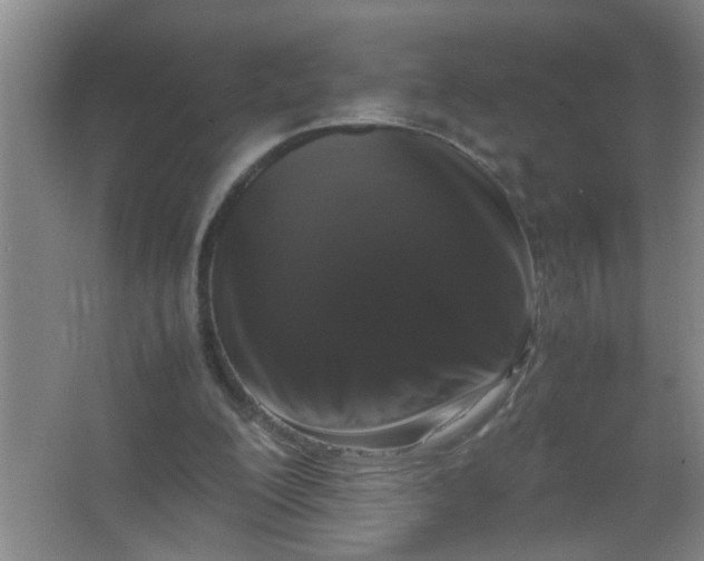 X0000062930200200601271841
