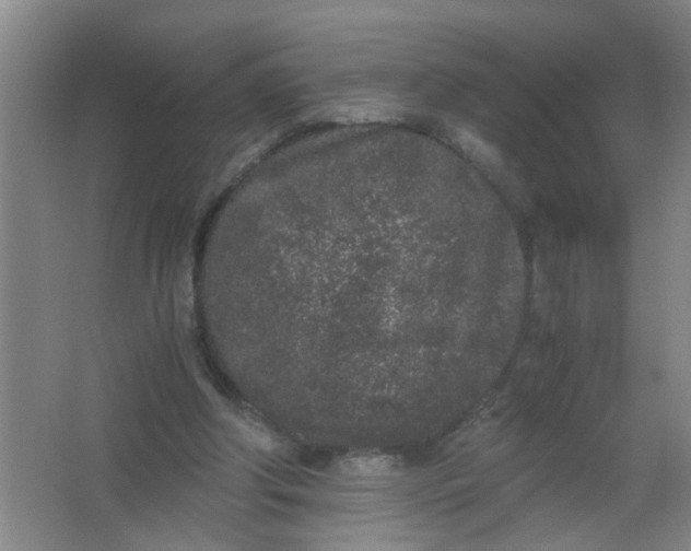 X0000062930202200601271841