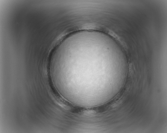 X0000062930203200601271841
