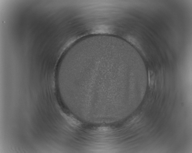 X0000062930204200601271841