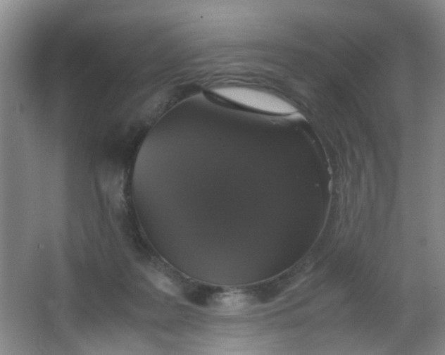 X0000062930219200601271840