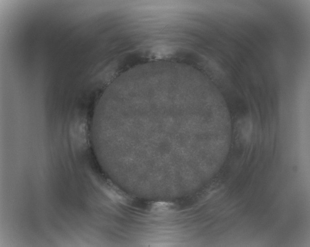 X0000062930222200601271840