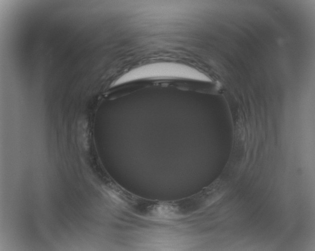 X0000062930223200601271840