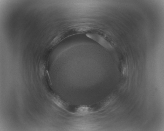 X0000062930227200601271840