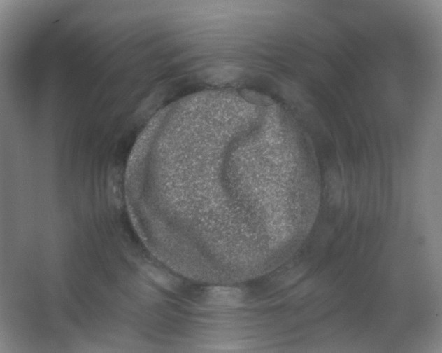 X0000062930234200601271840