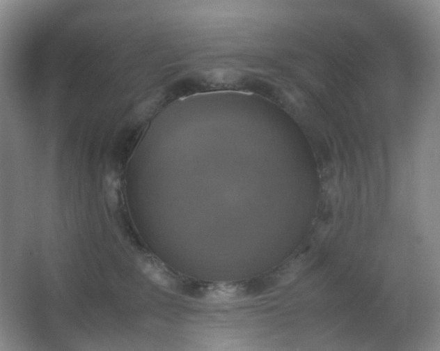 X0000062930235200601271840