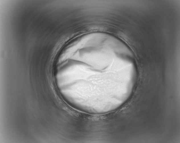 X0000062930241200601271839