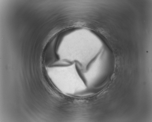 X0000062930242200601271839