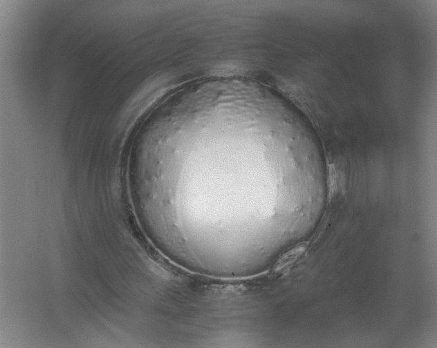 X0000062930243200601271839